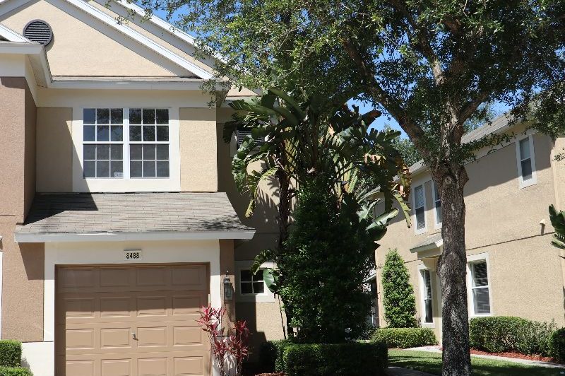 Picture of 8488 Sandy Beach St, Tampa, FL | Town N Country | Hillsborough County